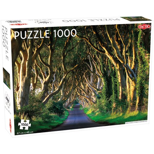 Dark Hedges in Northern Ireland